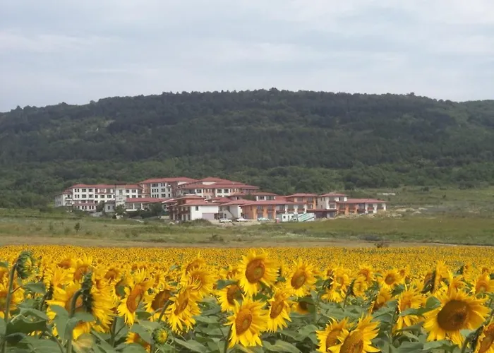 Harmony Hills Tomovi B21 * רוגאצ'בו