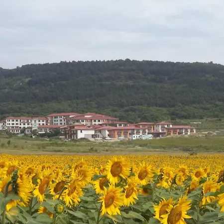 Harmony Hills Tomovi B21 * Rogachevo